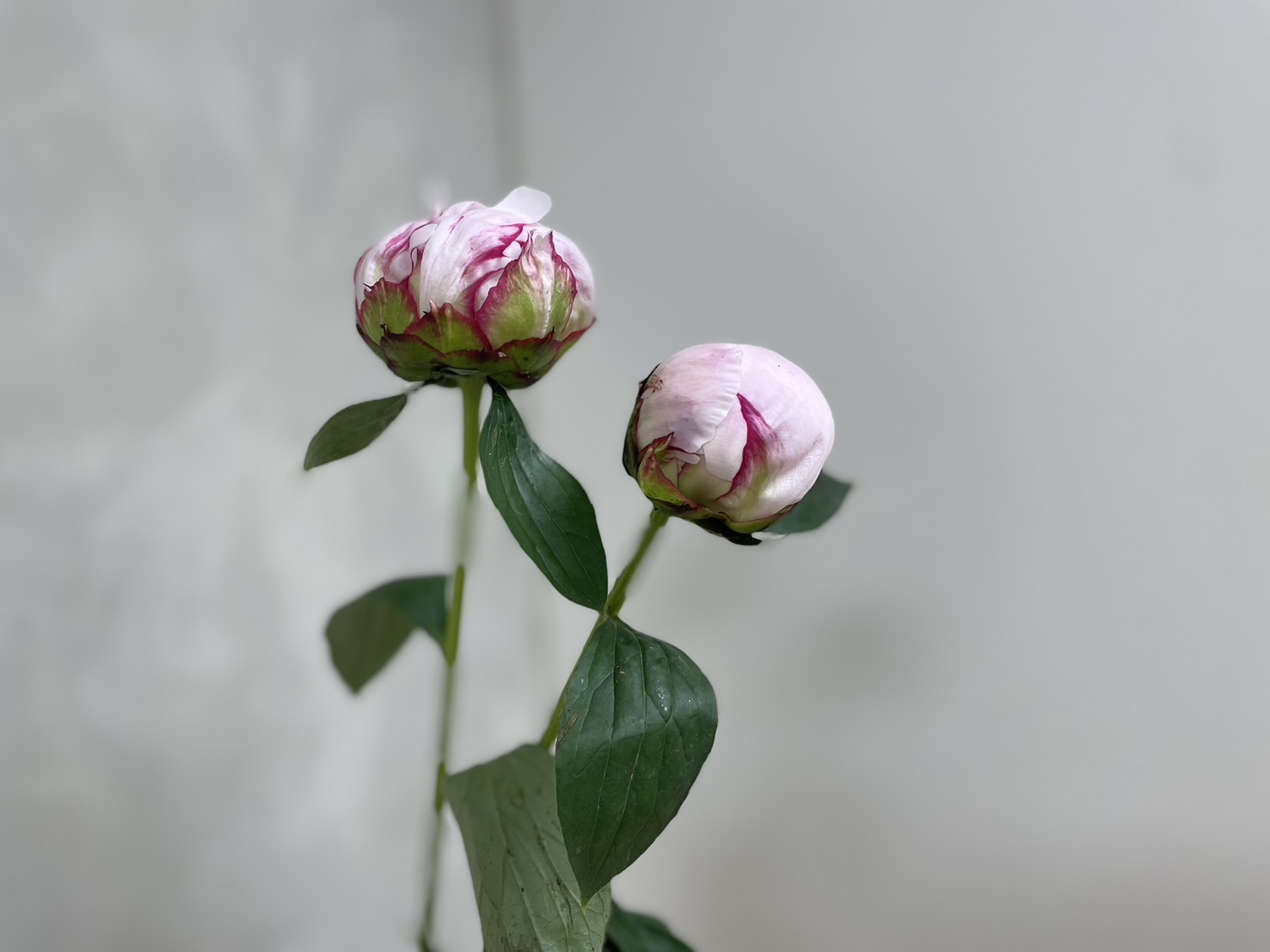 20250511_231635+0800-130338 20250511_231635+0800-130338