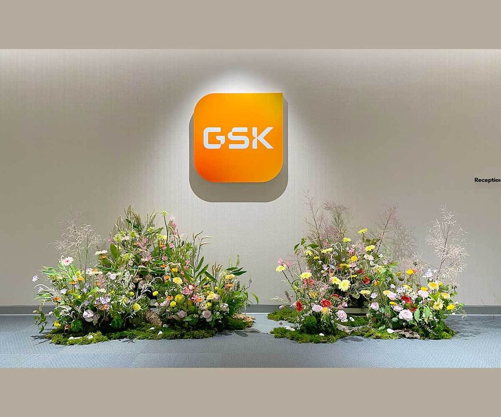 IMG_9309