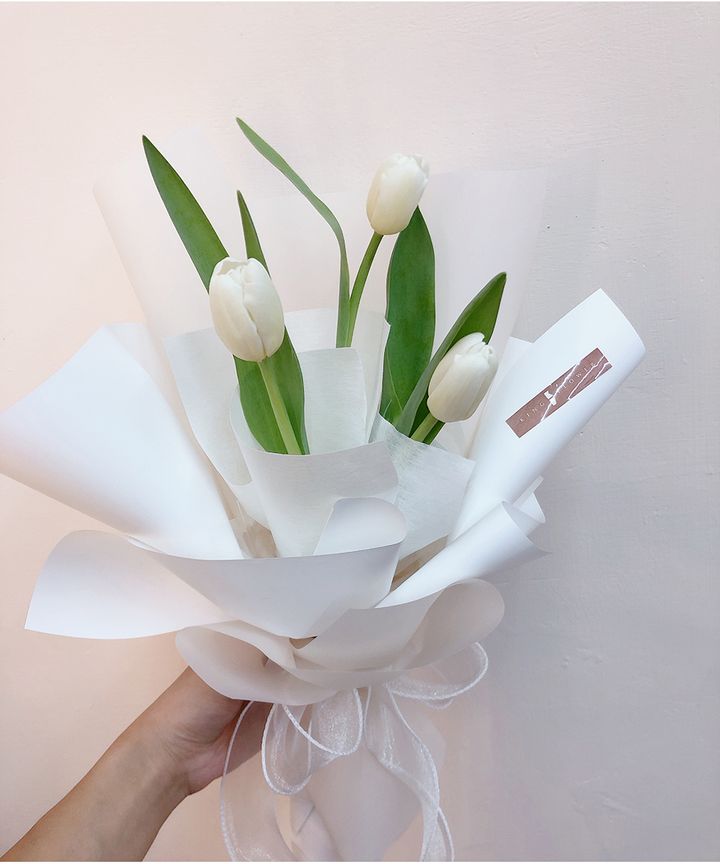 A2XS4