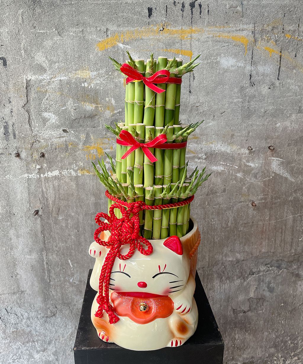 大貓開運竹Ｗ20xH45