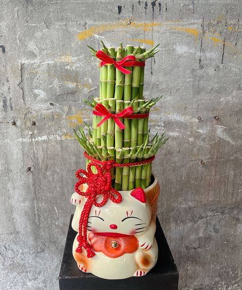 大貓開運竹Ｗ20xH45