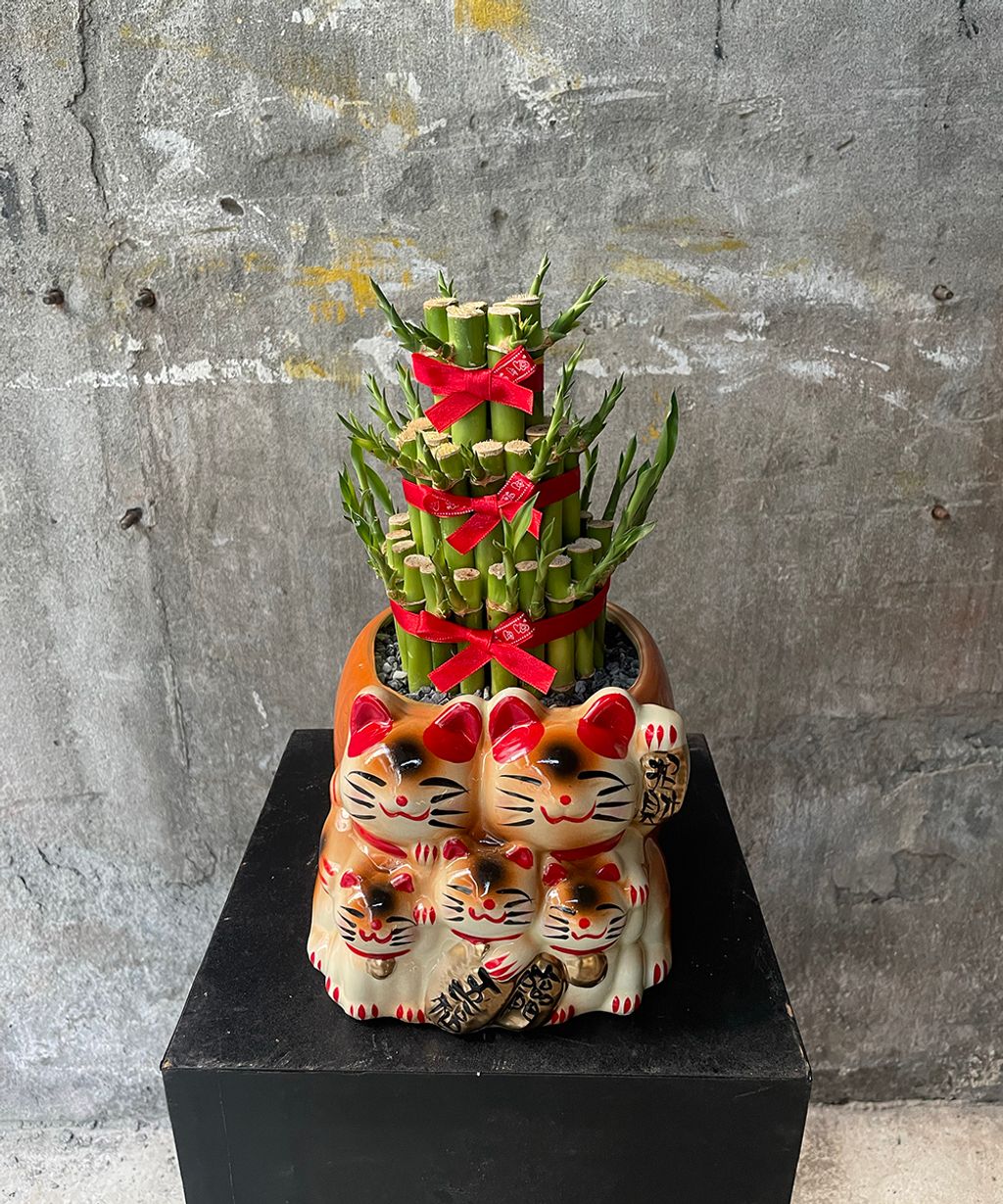 五貓開運竹W16xH30