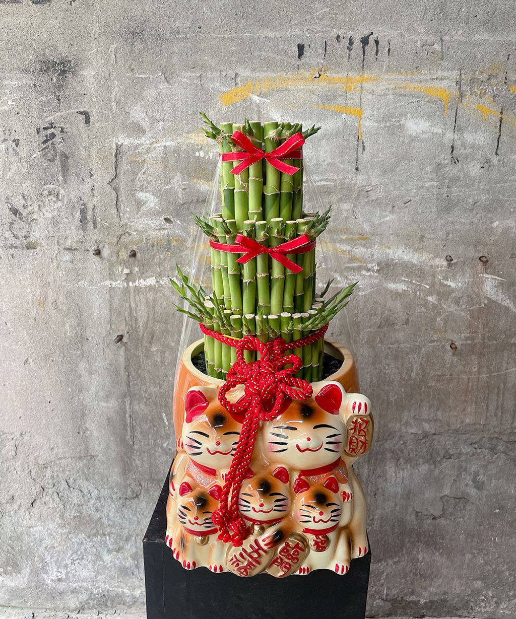 五貓開運竹W25xH45