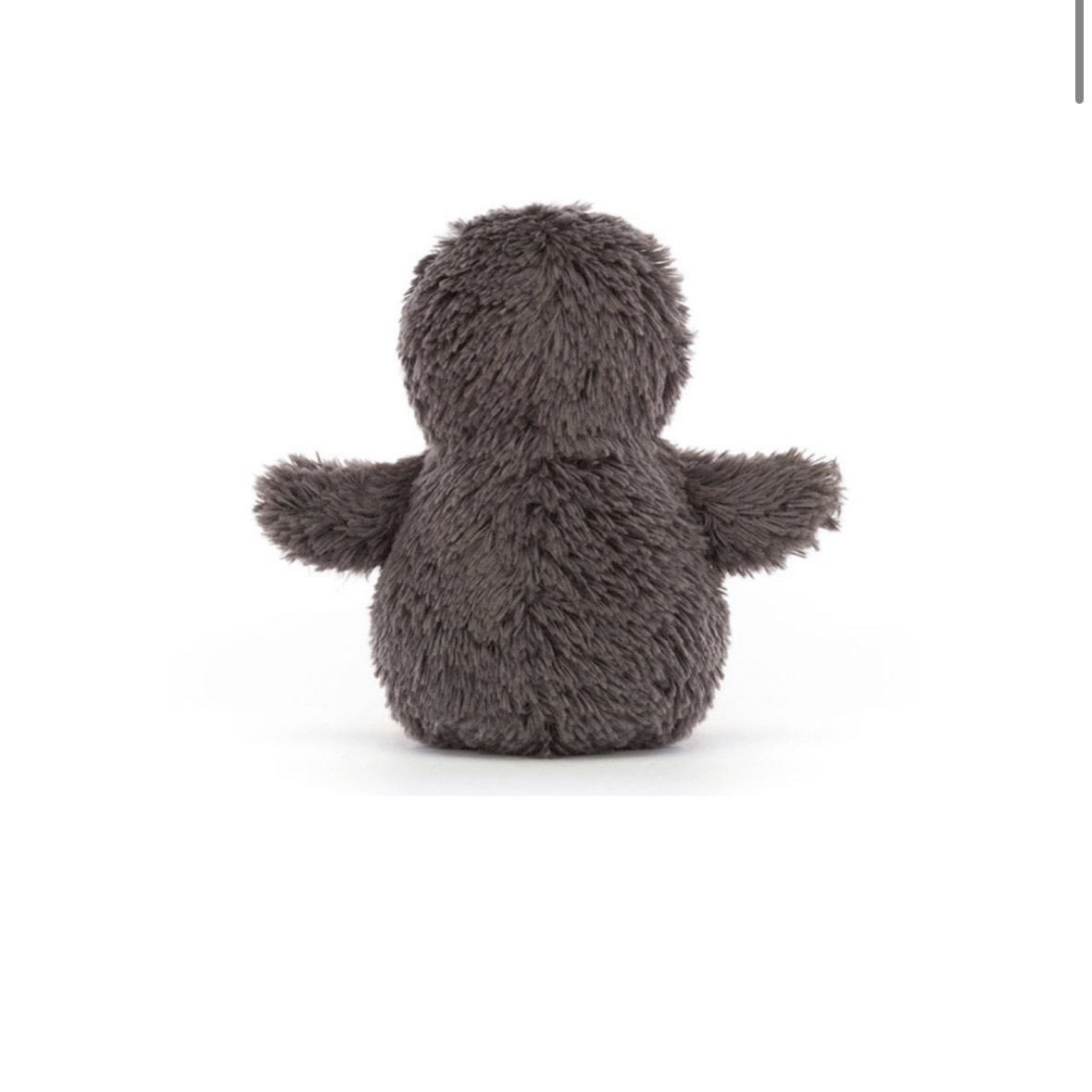 image_E9EC66DE-973E-4A32-8F44-AC35A5857B09_1765779544