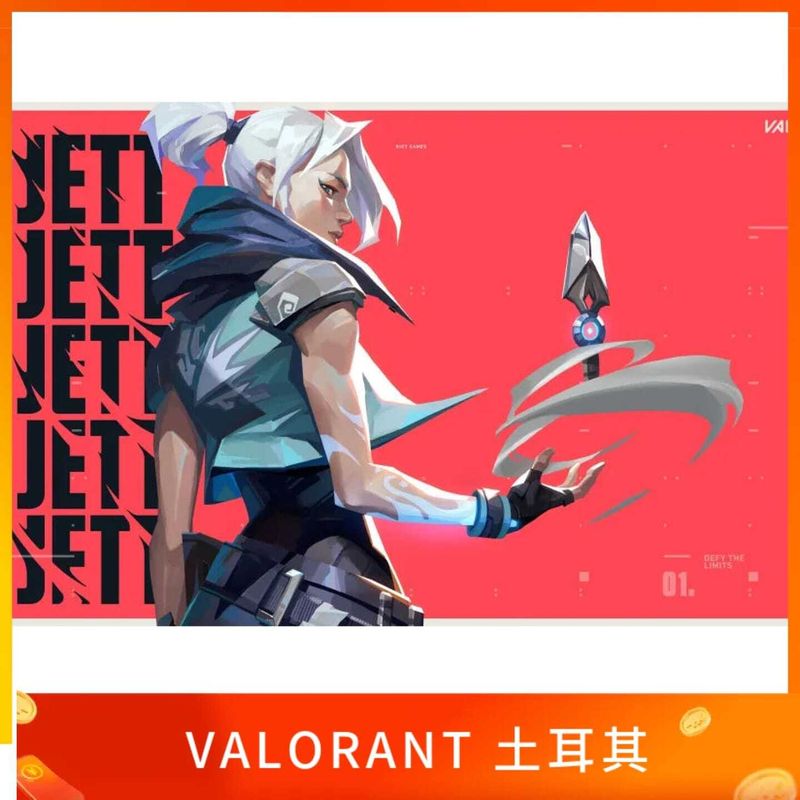 VALORANT 土耳其 VP 點數卡
