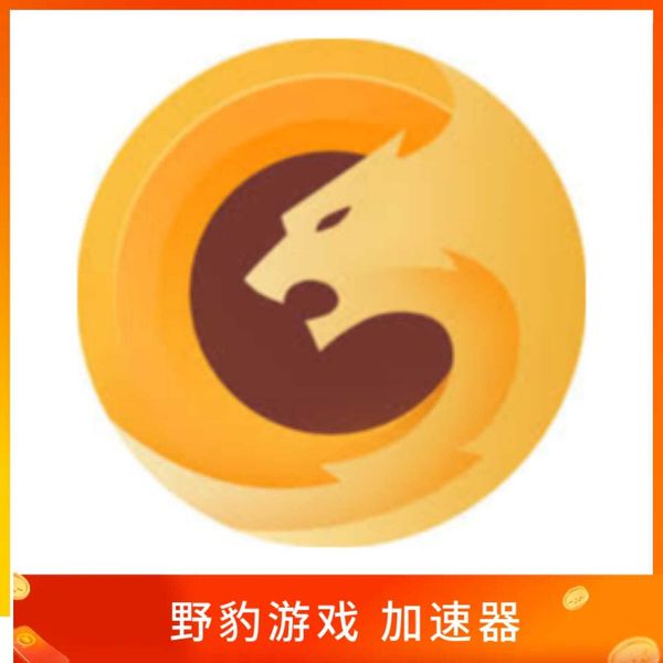 野豹游戏加速器