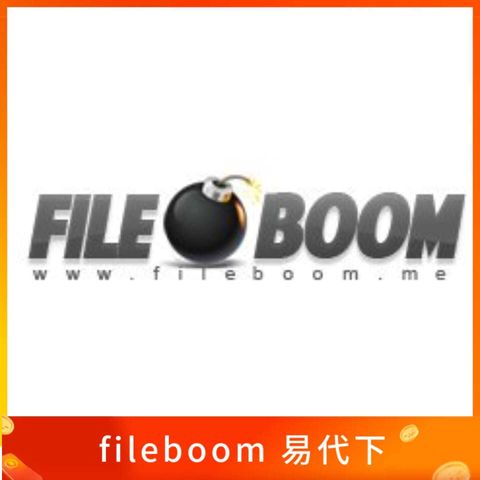 fileboom 易代下