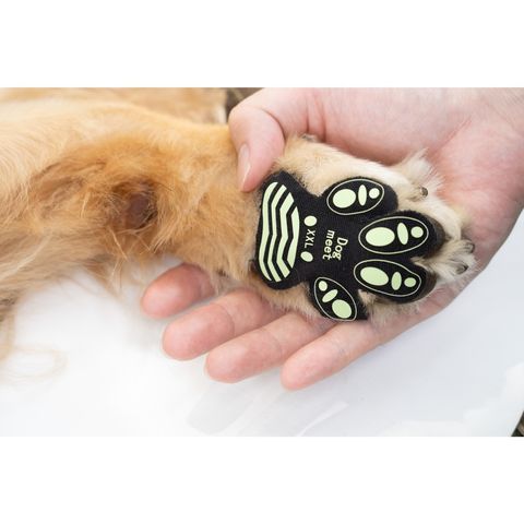 tw-11134207-7r98p-lp46tp1r3ltja0