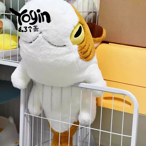 Sharkitty 我就是鯊貓 鯊貓三花 毛絨玩偶 可愛公仔 抱枕玩具 鯊貓｜嗨寶好選物