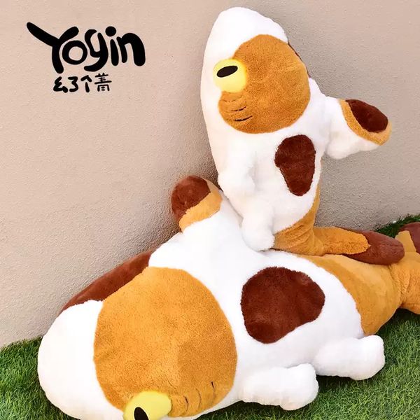 Sharkitty 我就是鯊貓 鯊貓三花 毛絨玩偶 可愛公仔 抱枕玩具 鯊貓｜嗨寶好選物