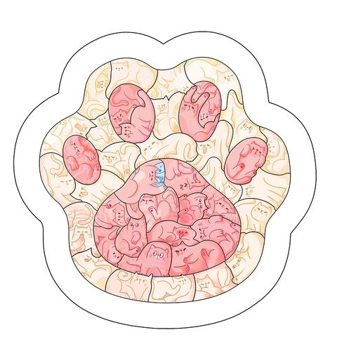 tw-11134207-7r98v-lxm9cfwxp0z4cc