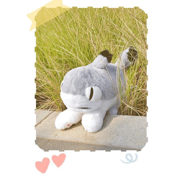 Sharkitty 我就是鯊貓 鯊貓毛絨 玩偶站姿公仔  盲盒 手辦 潮玩 盒玩 公仔 收藏品｜嗨寶好選物