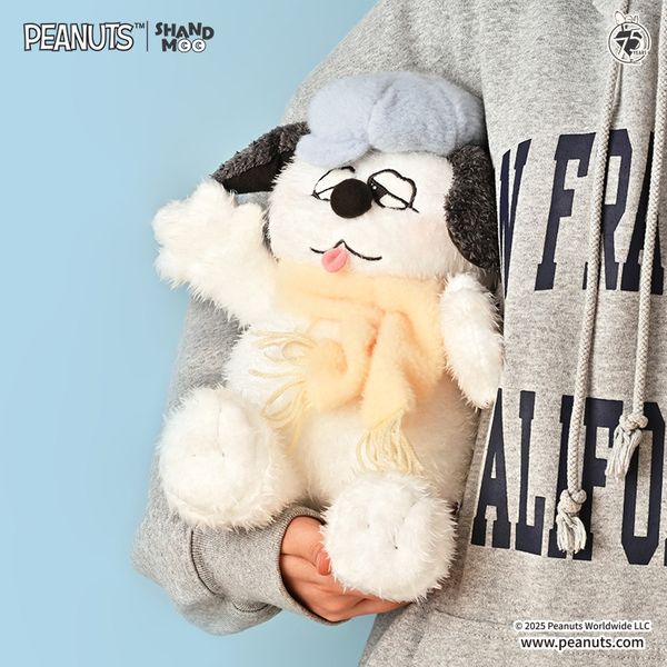 Snoopy｜史努比｜OLAF｜每次見面的擁抱系列｜ 27CM  盲盒 手伴 公仔 擺件 收藏品｜嗨寶好選物