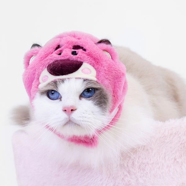 迪士尼 玩具總動員 寵物頭套系列 貓咪 卡通 頭套 小帽子  擺件 收藏品 MINISO｜嗨寶好選物