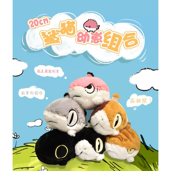 Sharkitty 我就是鯊貓 鯊貓幼崽 公仔 毛絨玩偶 可愛公仔 毛絨玩具｜嗨寶好選物