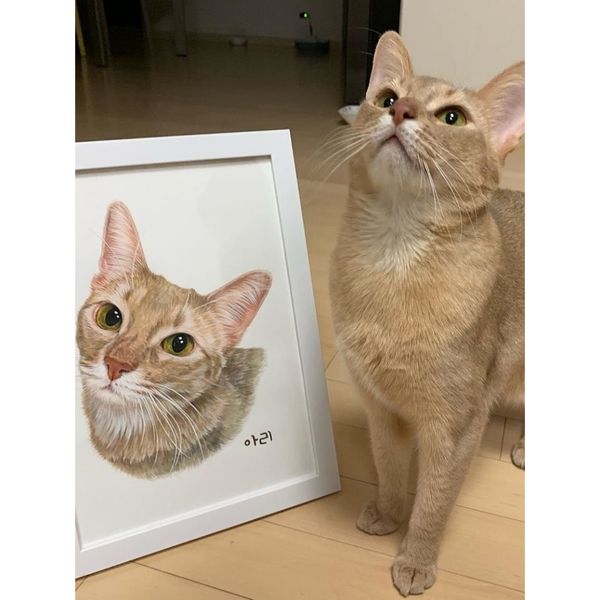 【嗨寶貓寵物】照片訂製 客製化 來圖訂製 手工繪畫 鉛筆畫 寵物素描 手繪 貓咪 貓貓 狗狗 紀念畫