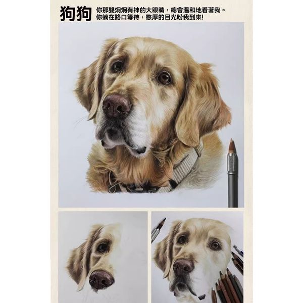 【嗨寶貓寵物】照片訂製 客製化 來圖訂製 手工繪畫 鉛筆畫 寵物素描 手繪 貓咪 貓貓 狗狗 紀念畫