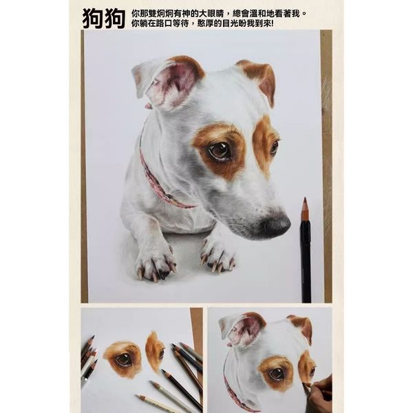 【嗨寶貓寵物】照片訂製 客製化 來圖訂製 手工繪畫 鉛筆畫 寵物素描 手繪 貓咪 貓貓 狗狗 紀念畫