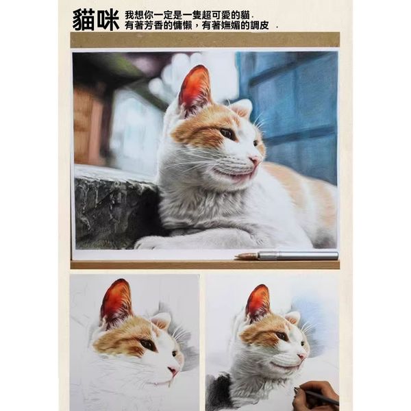 【嗨寶貓寵物】照片訂製 客製化 來圖訂製 手工繪畫 鉛筆畫 寵物素描 手繪 貓咪 貓貓 狗狗 紀念畫