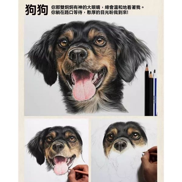 【嗨寶貓寵物】照片訂製 客製化 來圖訂製 手工繪畫 鉛筆畫 寵物素描 手繪 貓咪 貓貓 狗狗 紀念畫