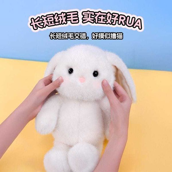 乖乖坐姿公仔 吉妮兔系列 可愛小兔 七夕禮物｜MINISO｜盲盒 公仔 擺件 收藏品 玩偶｜嗨寶好選物