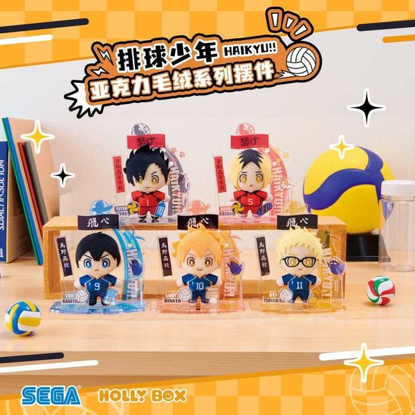 排球少年 壓克力毛絨立牌 日向翔陽｜Haikyu!! 排球少年｜盲盒 公仔 擺件 收藏品 玩偶｜嗨寶好選物