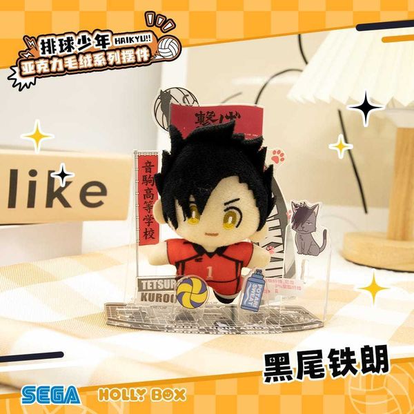 排球少年 壓克力毛絨立牌 日向翔陽｜Haikyu!! 排球少年｜盲盒 公仔 擺件 收藏品 玩偶｜嗨寶好選物