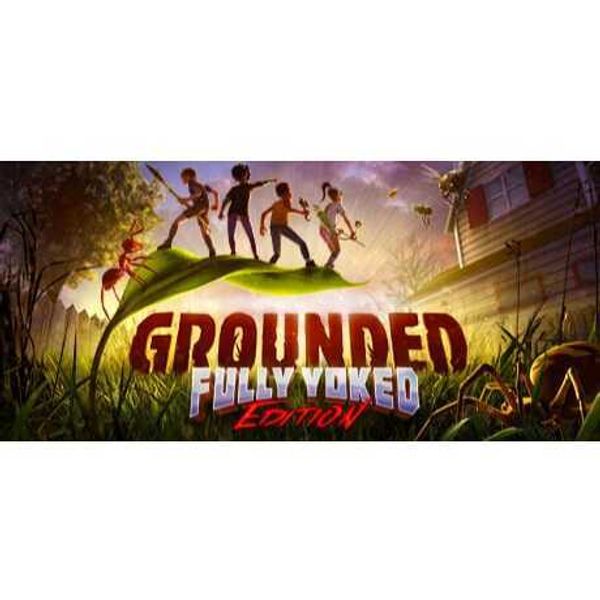 Steam Grounded 2 禁閉求生2｜遊戲成品號 PC 數位遊戲｜嗨寶好選物