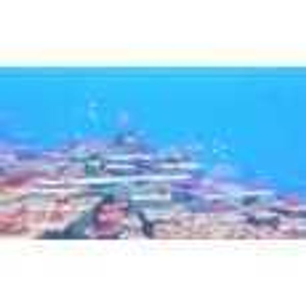 Steam DAVE THE DIVER 潛水員戴夫｜遊戲成品號 PC 數位遊戲｜嗨寶好選物