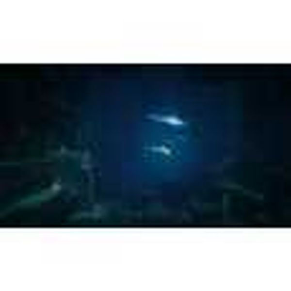 Steam DAVE THE DIVER 潛水員戴夫｜遊戲成品號 PC 數位遊戲｜嗨寶好選物