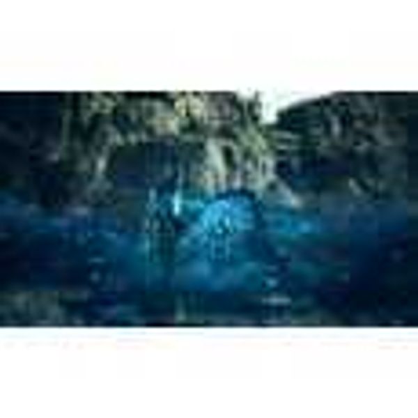 Steam Dragons Dogma 2 龍族教義2｜遊戲成品號 PC 數位遊戲｜嗨寶好選物