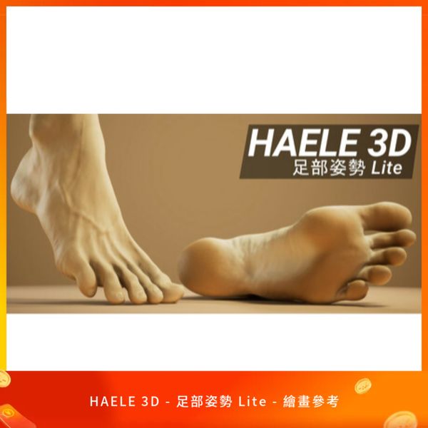 HAELE 3D - 足部姿勢 Lite - 繪畫參考