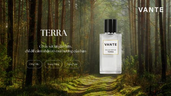  | VANTE