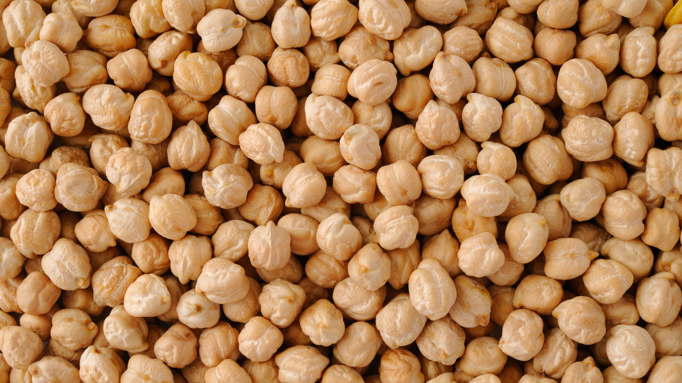 Garbanzo Bean