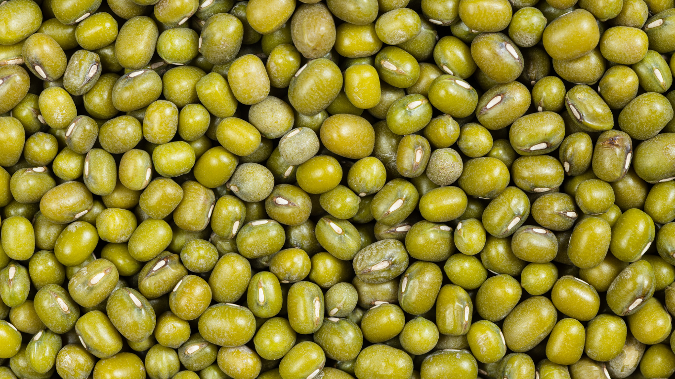 Mung Bean