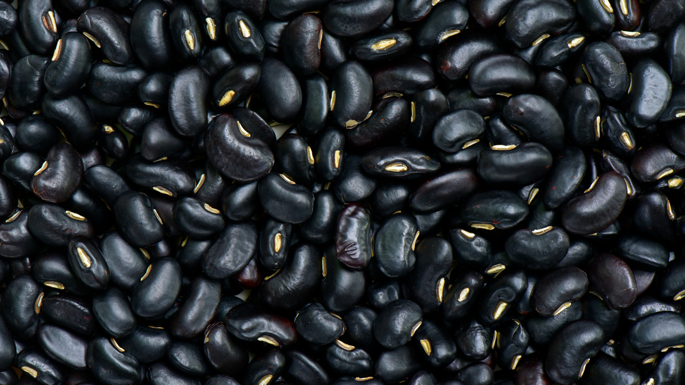 Black Bean