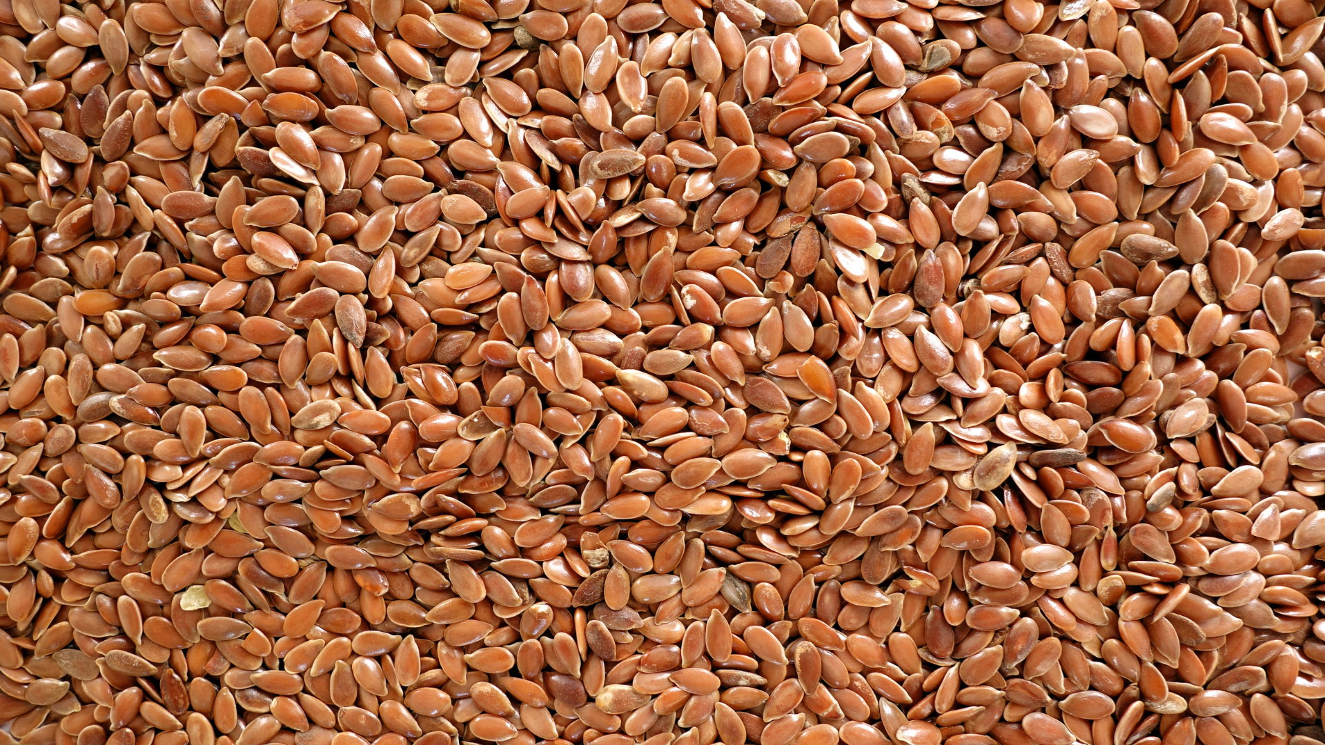 Golden Flaxseed