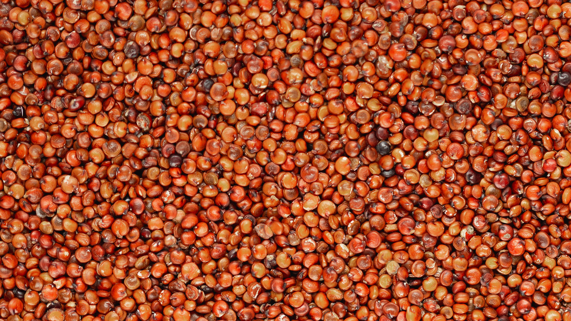 Red Quinoa