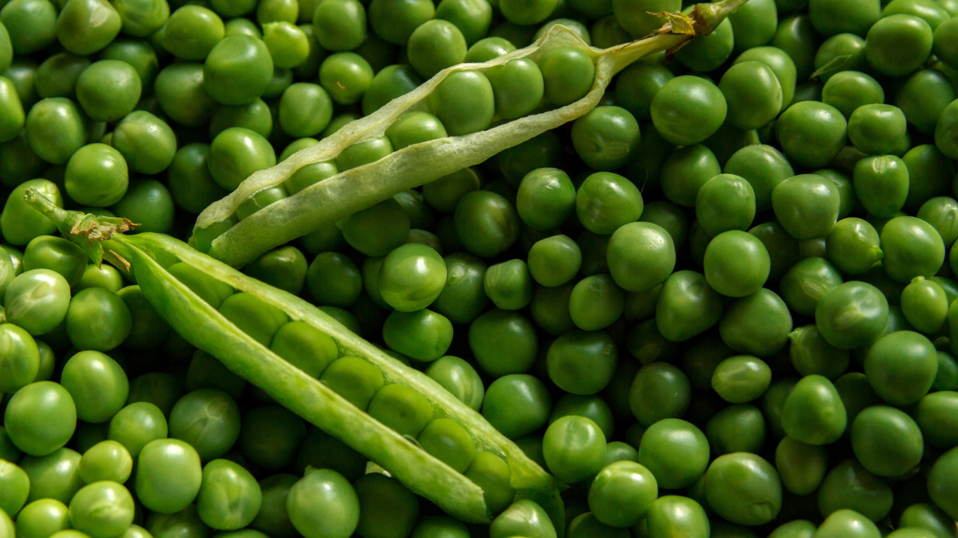 Green Pea