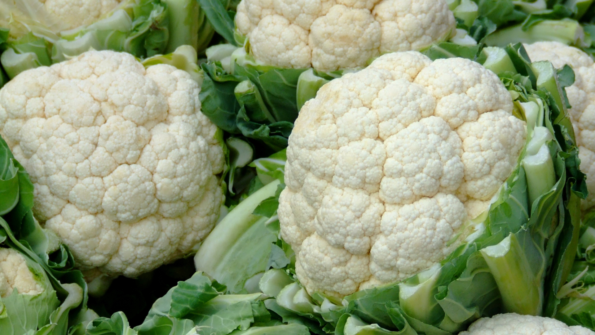 Cauliflower