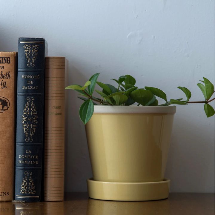 poshliving-glossypot-01