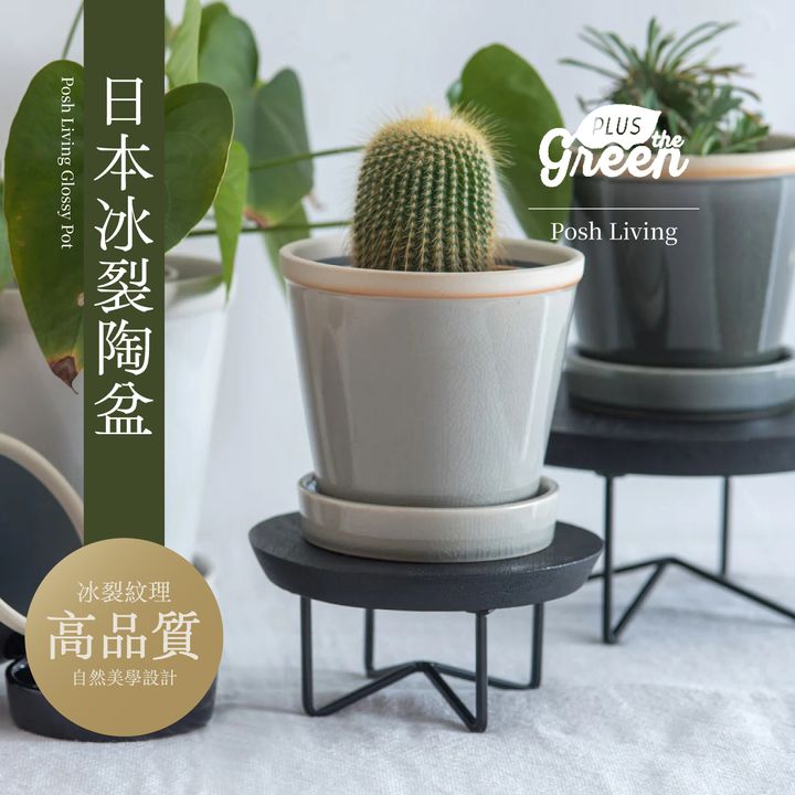 poshliving-glossypot-main