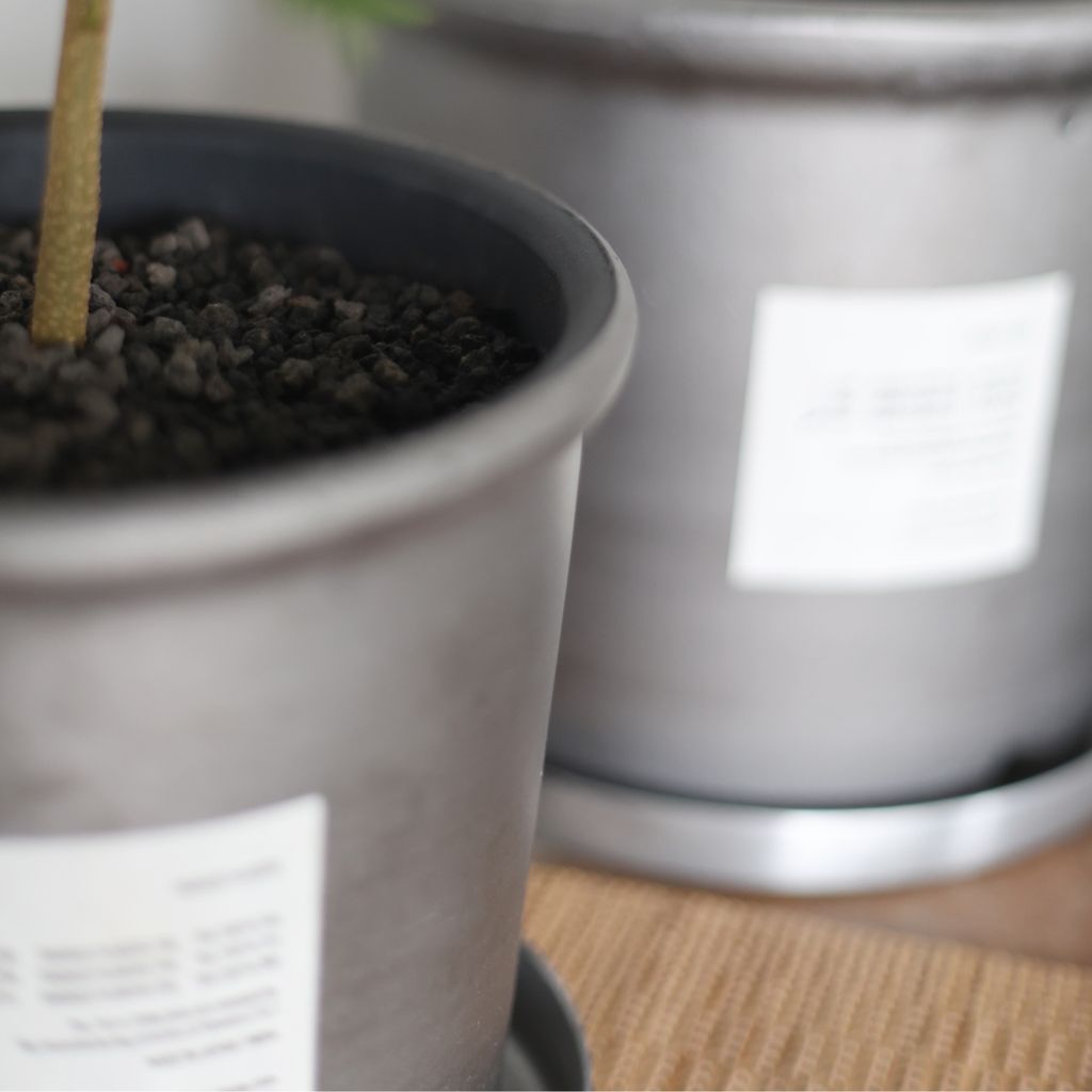 hinodeya-straightpot-01