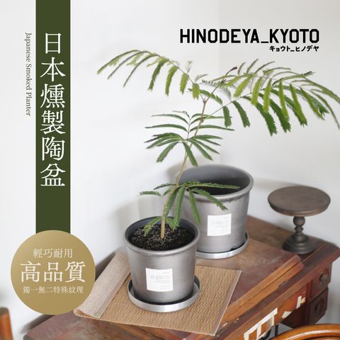 hinodeya-straightpot-main