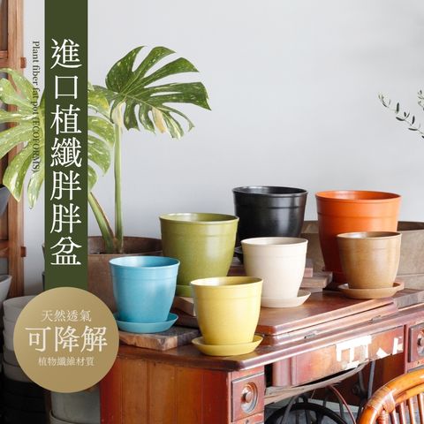 tw-11134207-7ras8-m5jmp25748qe1c