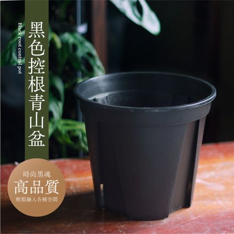 sg-11134201-22110-yxtwji0u4ljvaa