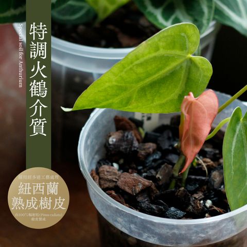 tw-11134207-7qul7-lgloe2e63pd6df