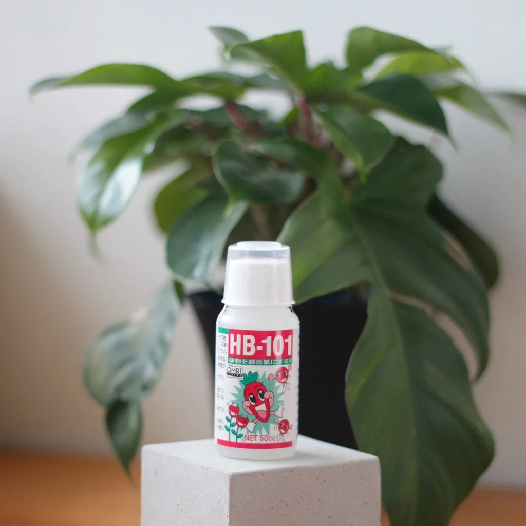 0123 studio｜現貨 HB101 HB-101 日本原裝 植物活力神水 活力液 無毒 觀葉植物 鹿角蕨 多肉 – 0123studio