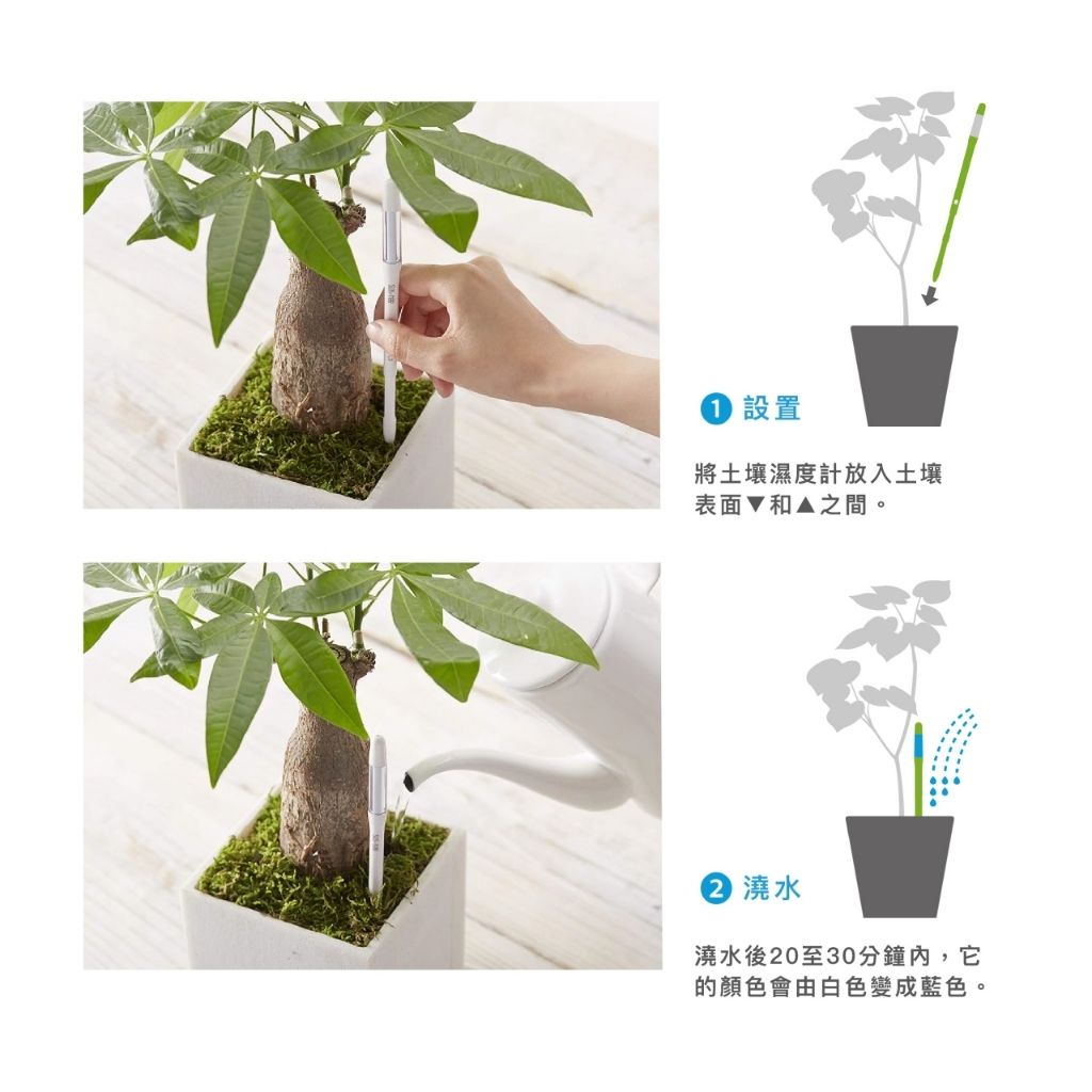 tw-11134207-7rasf-m3olify2hlrh0c