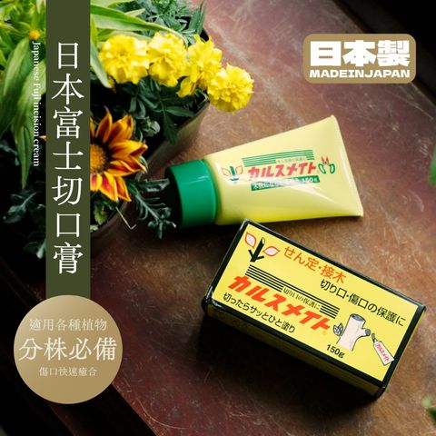 tw-11134207-7r98u-lqikv79jjthe73